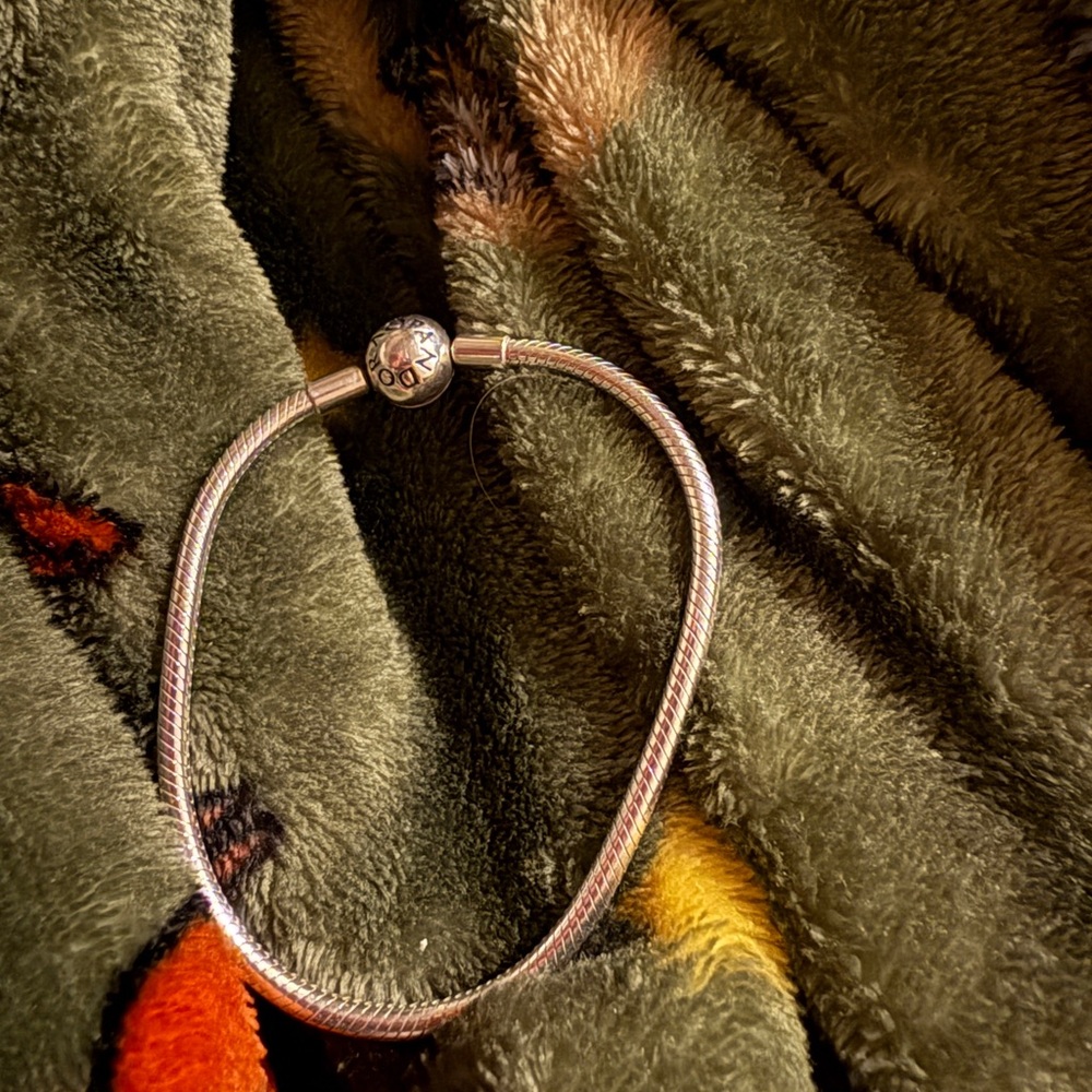 Elegant Pandora snake Silver Bracelet